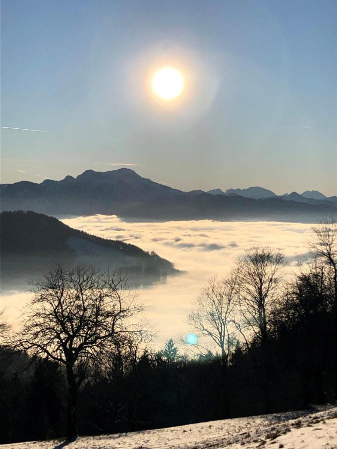 Fewo Atterseeperle - 80M2 Mit See- Und Gebirgsblick Steinbach am Attersee Esterno foto