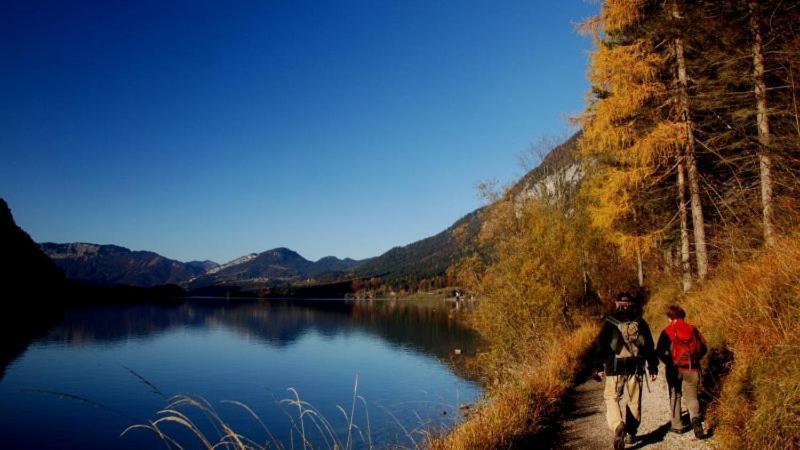 Fewo Atterseeperle - 80M2 Mit See- Und Gebirgsblick Steinbach am Attersee Esterno foto