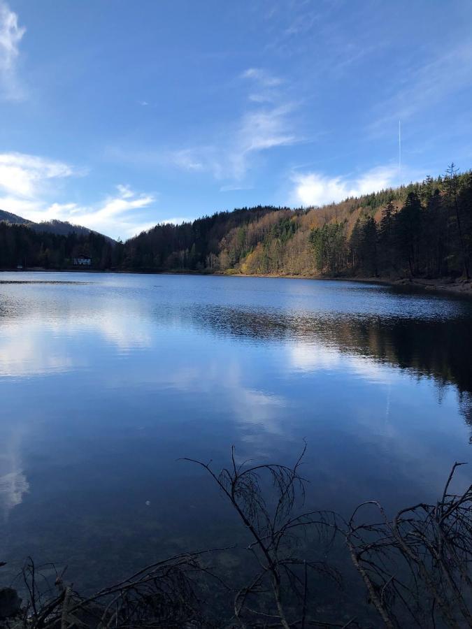 Fewo Atterseeperle - 80M2 Mit See- Und Gebirgsblick Steinbach am Attersee Esterno foto