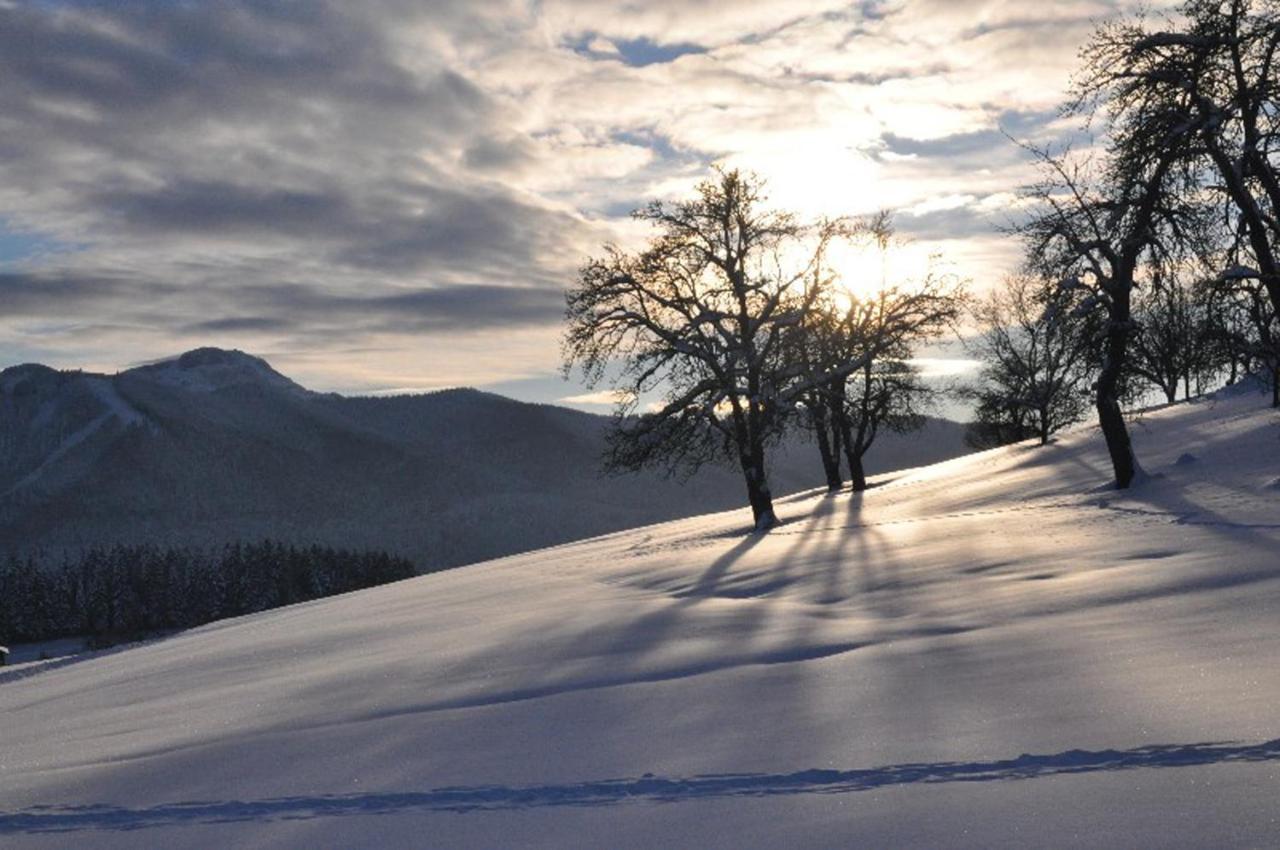 Fewo Atterseeperle - 80M2 Mit See- Und Gebirgsblick Steinbach am Attersee Esterno foto