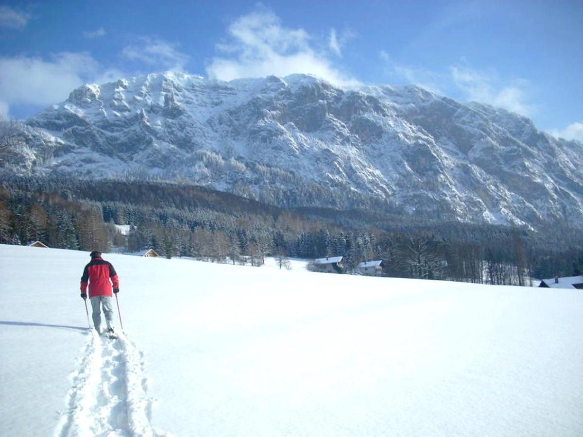 Fewo Atterseeperle - 80M2 Mit See- Und Gebirgsblick Steinbach am Attersee Esterno foto