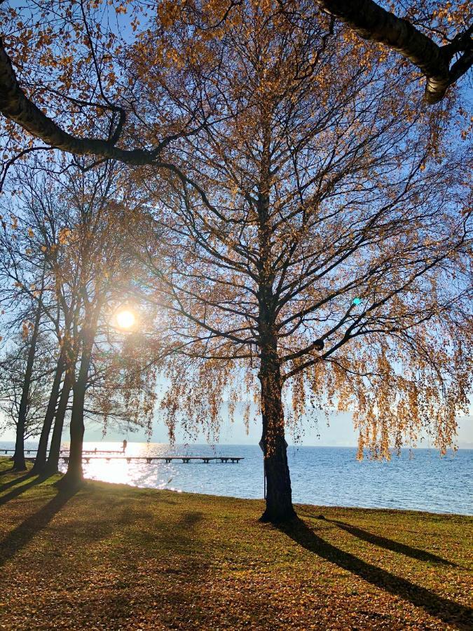 Fewo Atterseeperle - 80M2 Mit See- Und Gebirgsblick Steinbach am Attersee Esterno foto