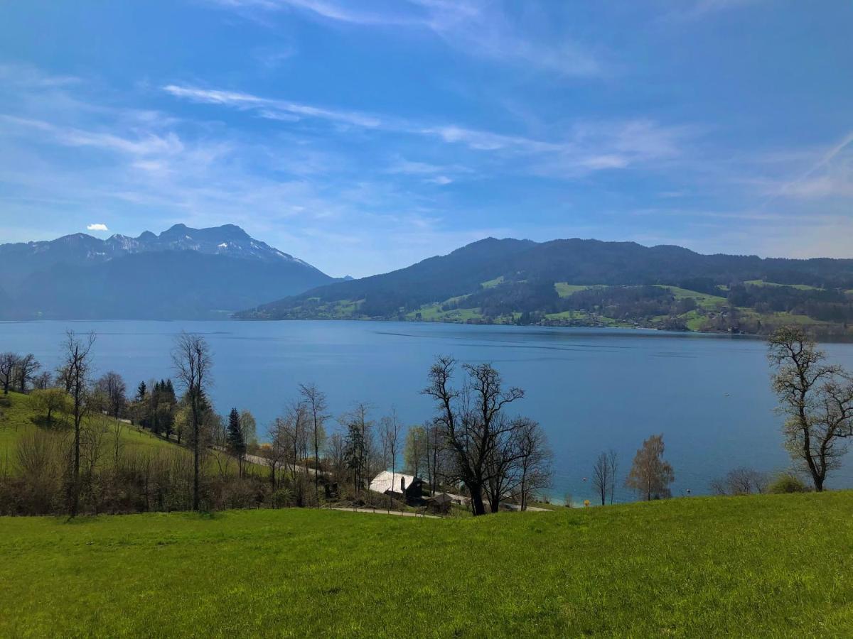 Fewo Atterseeperle - 80M2 Mit See- Und Gebirgsblick Steinbach am Attersee Esterno foto