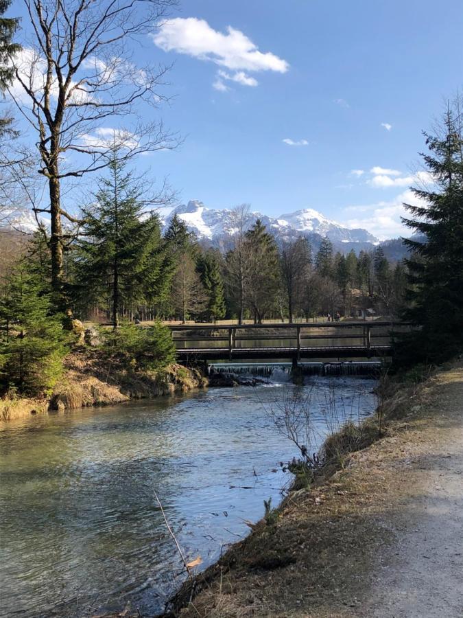 Fewo Atterseeperle - 80M2 Mit See- Und Gebirgsblick Steinbach am Attersee Esterno foto