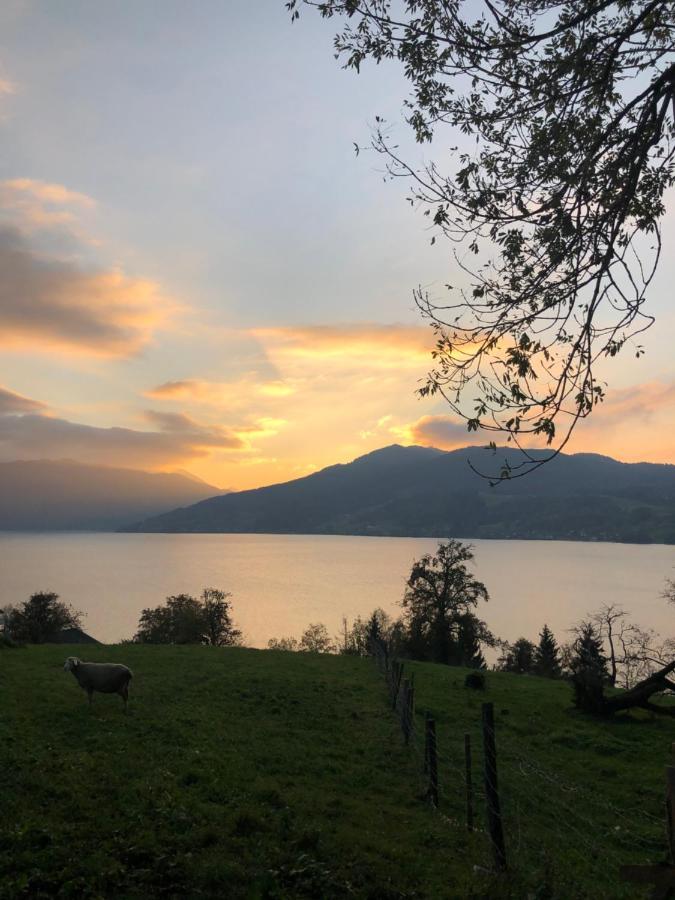 Fewo Atterseeperle - 80M2 Mit See- Und Gebirgsblick Steinbach am Attersee Esterno foto