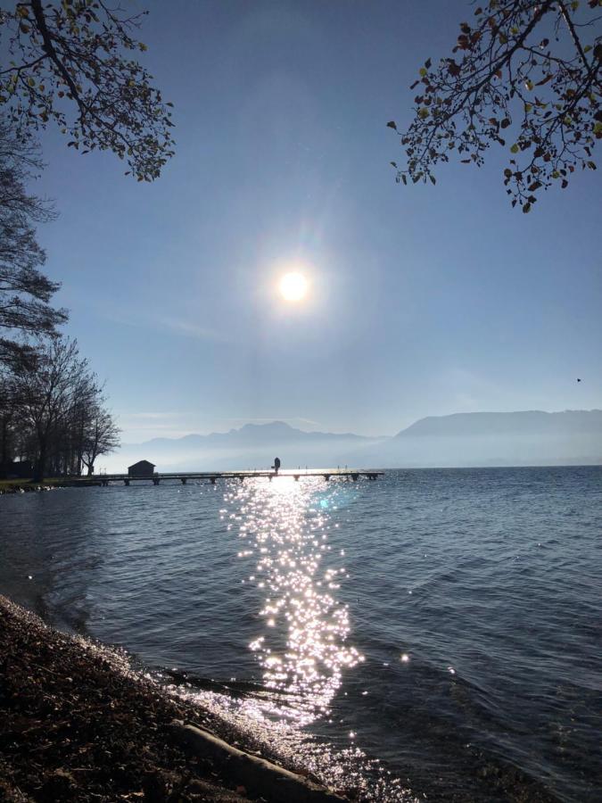 Fewo Atterseeperle - 80M2 Mit See- Und Gebirgsblick Steinbach am Attersee Esterno foto