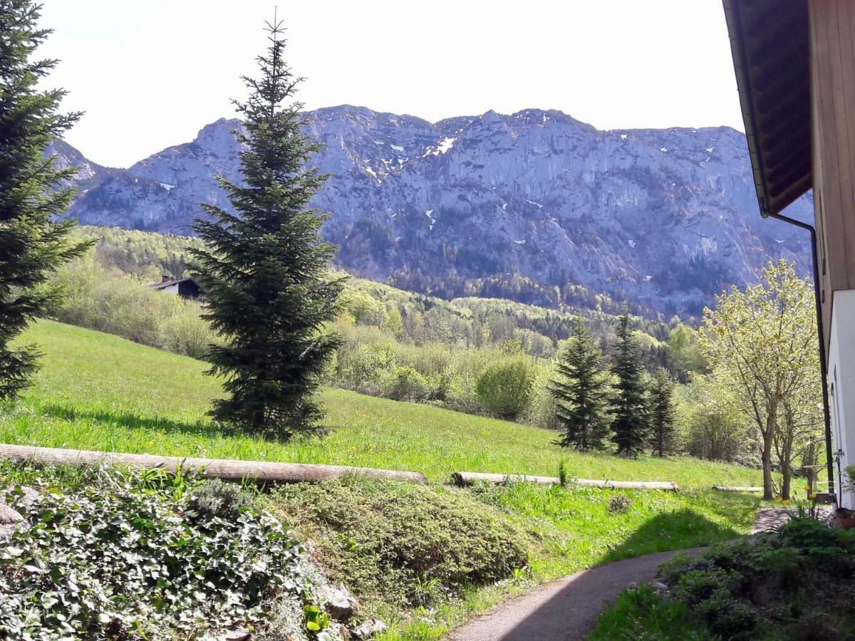 Fewo Atterseeperle - 80M2 Mit See- Und Gebirgsblick Steinbach am Attersee Esterno foto